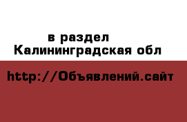  в раздел :  . Калининградская обл.